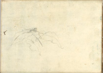 Carved Panel and Border Ornament (recto); Sketches of Leaves (verso) (Smaller Italian Sketchbook, leaf 21) MET DP269430