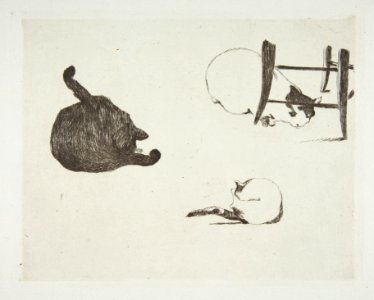 Cats MET DP815335