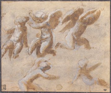 Cherubs MET 06.1051.14