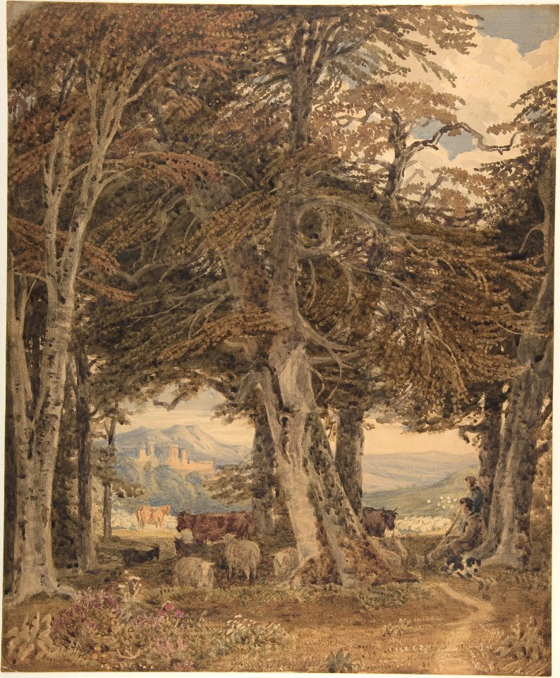 Cattle and Sheep at Resting at the Edge of a Forest MET DP805321