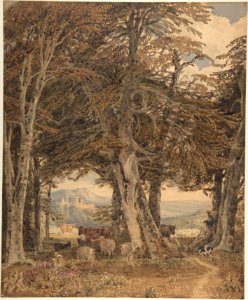 Cattle and Sheep at Resting at the Edge of a Forest MET DP805321