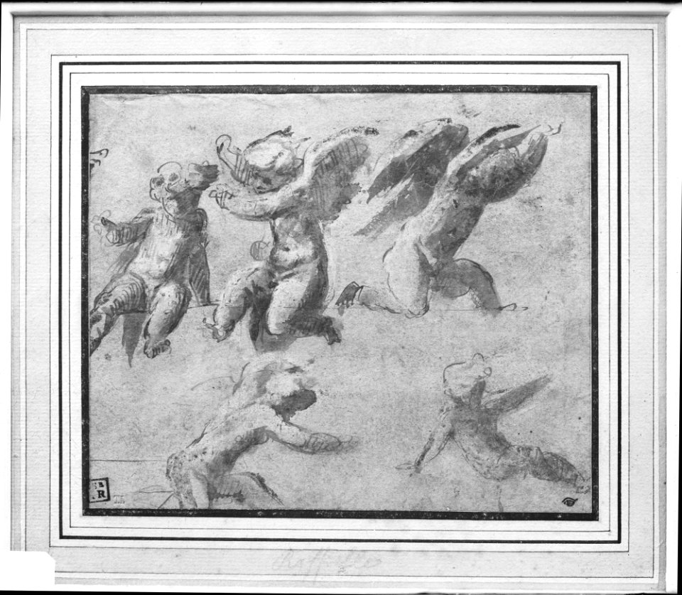 Cherubs MET 876