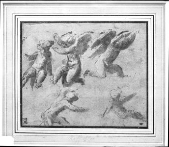 Cherubs MET 876