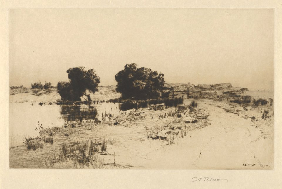 Cape Ann Willows MET DP845333 ff