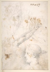 Figure Studies- The Arrest of Christ?, Christ and the Canaanite Woman, Seated Male Figures, and Head of a Child (recto); Studies of an Arm, and of the Heads of an Old Man and Young Woman (verso) MET DP810952