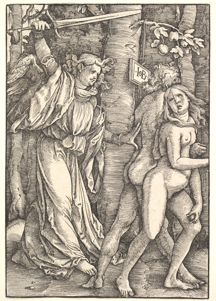 Expulsion from Paradise MET DP826515