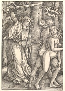 Expulsion from Paradise MET DP826515