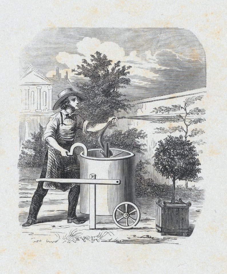 Gardener watering his plants MET DP875319