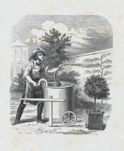Gardener watering his plants MET DP875319