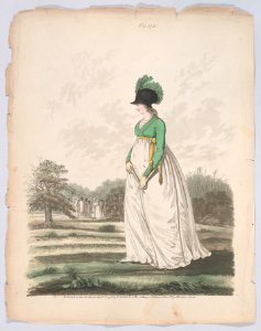 Gallery of Fashion, vol. V- April 1, 1798 - March 1 1799 Met DP889058