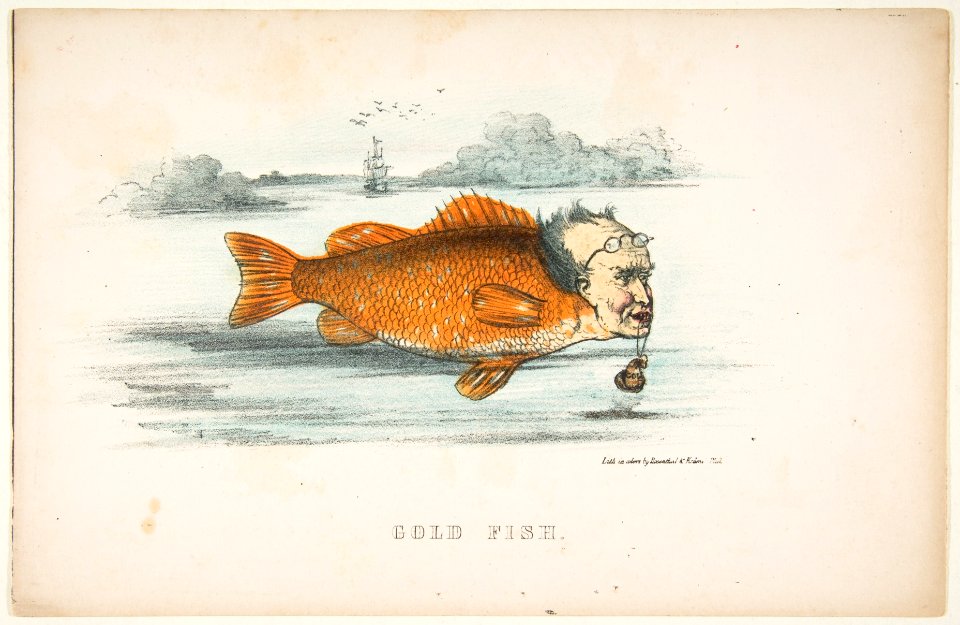 Gold Fish (Francis M. Drexel), from The Comic Natural History of the Human Race MET DP813089