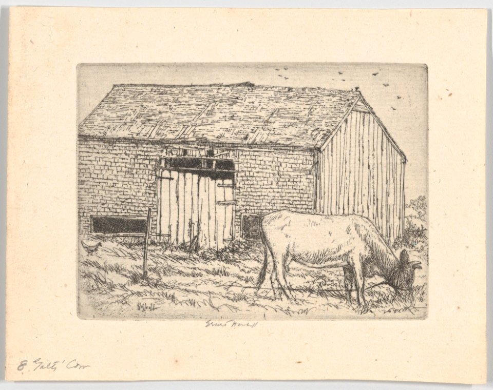 Galt's Cow MET DP861537