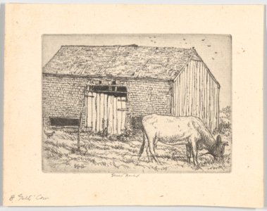 Galt's Cow MET DP861537