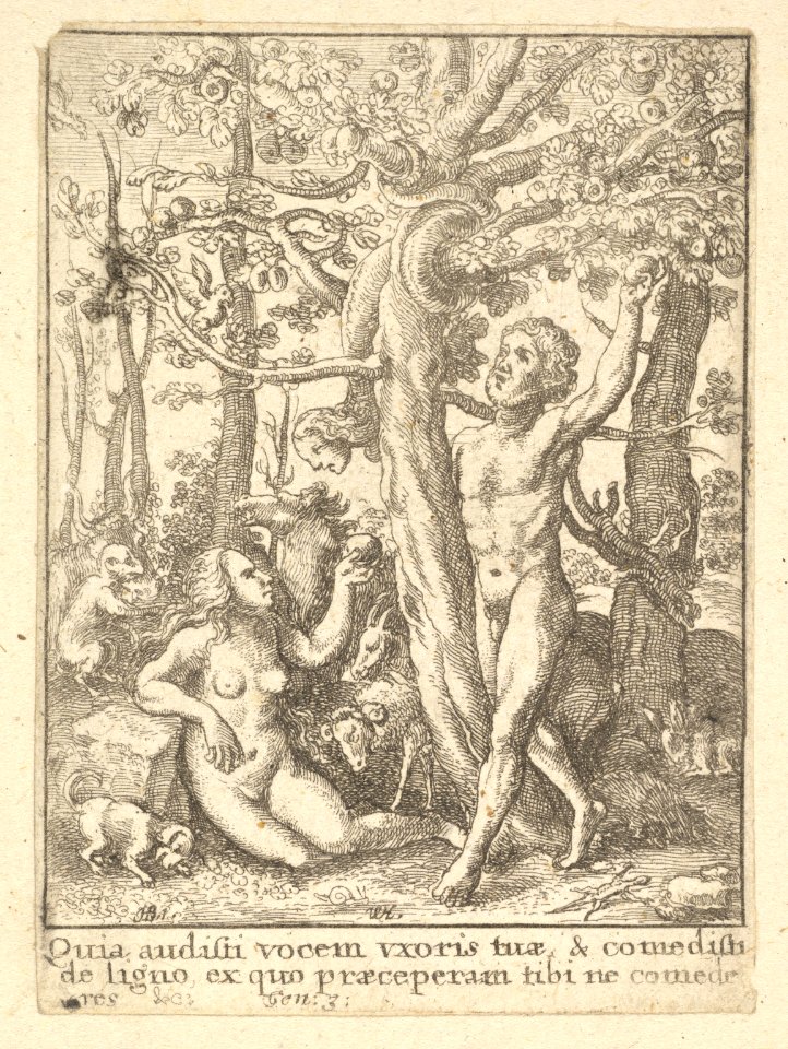 Garden of Eden, from the Dance of Death MET DP822845