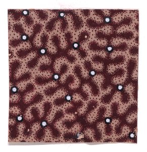Textile Design Met DP889341