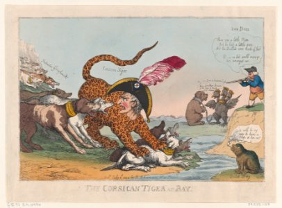 The Corsican Tiger at Bay! MET DP873913
