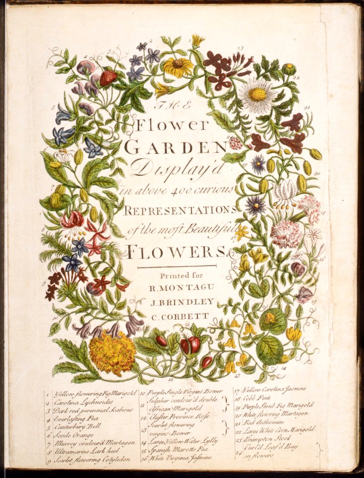 The Flower-Garden Display'd, In Above Four Hundred Curious Representations Of the Most Beautiful Flowers; Regularly Dispos'd in the Respective Months of Their Bloom MET DR62