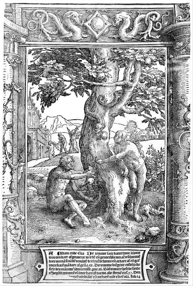 The Fall of Man MET MM64614