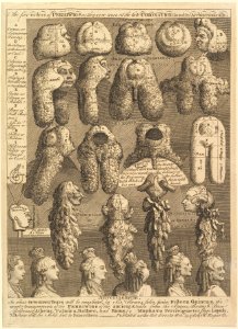 The Five Orders of Periwigs MET DP825179