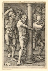 The Flaggelation (copy) MET DP818949