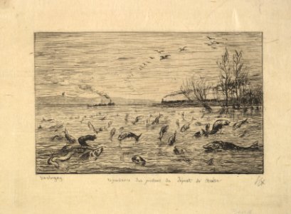 The Fish Rejoice in the Departure of the Cabin Boy MET DP822245