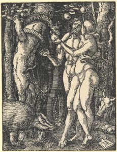 The Fall of Man, from The Small Passion MET DP215649