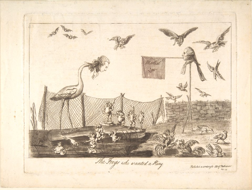 The Frogs Who Wanted a King MET DP808882