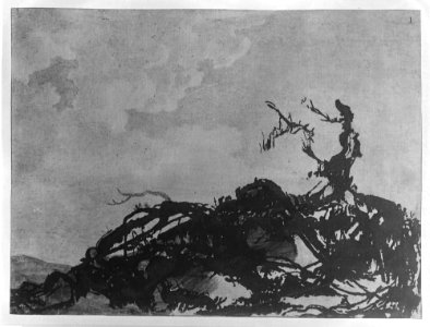 The Fallen Tree MET 569