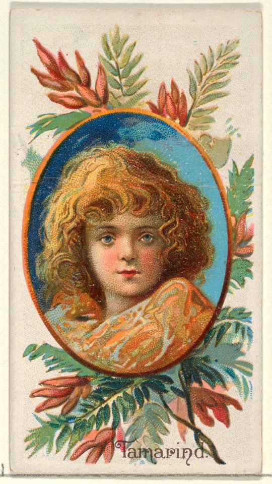 Tamarind, from the Fruits series (N12) for Allen & Ginter Cigarettes Brands MET DP834649