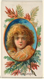 Tamarind, from the Fruits series (N12) for Allen & Ginter Cigarettes Brands MET DP834649