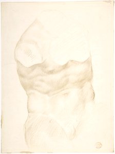 Torso of the Belvedere MET DP807245