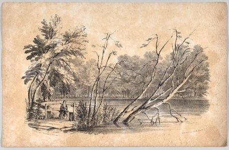 Sylvan Lake, Greenwood Cemetery, in- The New York Drawing Book, Containing a Series of Original Designs and Sketches of American Scenery, No. 2 MET DP860316