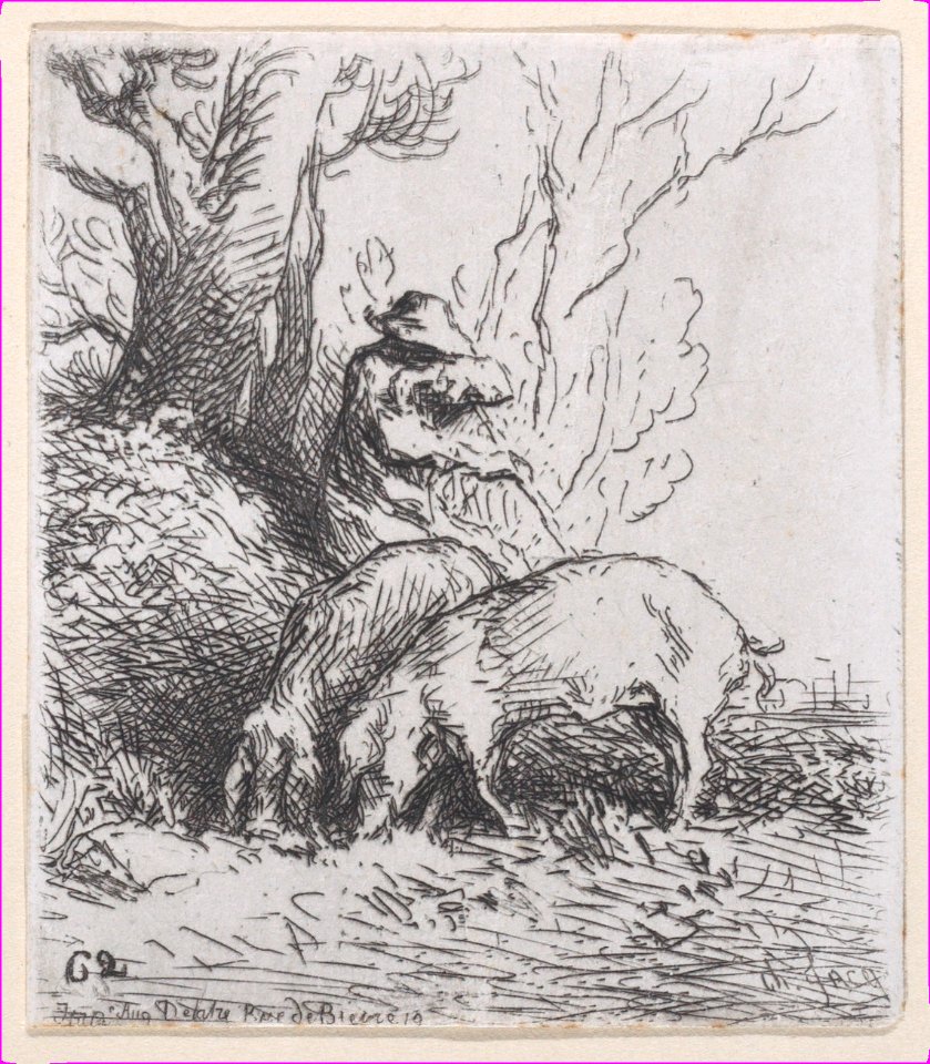 Swineherd Met DP886969