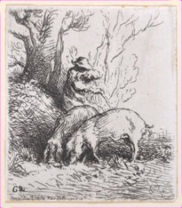 Swineherd Met DP886969
