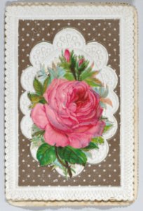Valentine Met DP886052