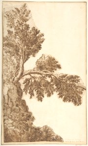 Trees MET DP802145