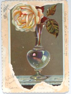 Valentine Met DP885970