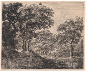 Twilight in the Woods MET DP876194