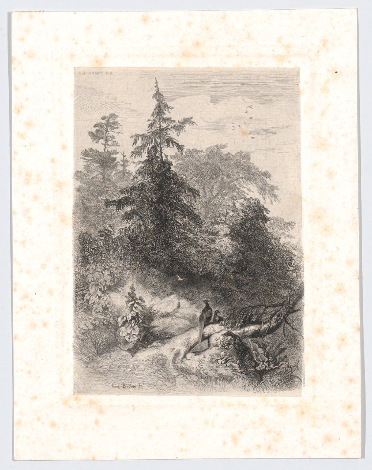 Two Pheasants in a Forest MET DP874275