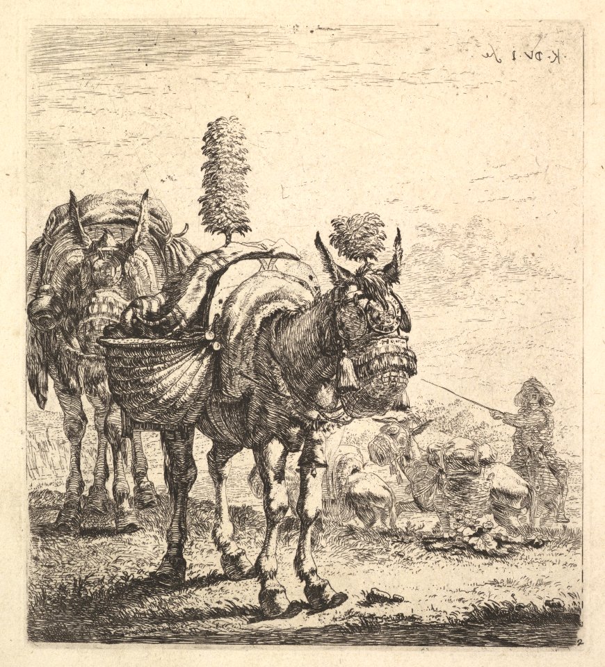 Two mules bearing panniers and outfitted with blinders, plumes, and tassels; one mule in three-quarter view and behind it a mule in frontal view; beyond a man mounted on a horse directs mules with a rod MET DP828258