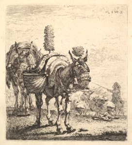 Two mules bearing panniers and outfitted with blinders, plumes, and tassels; one mule in three-quarter view and behind it a mule in frontal view; beyond a man mounted on a horse directs mules with a rod MET DP828258