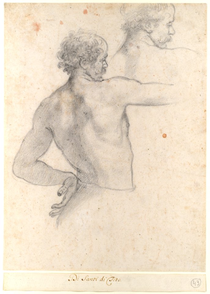 Two Studies of a Man MET DP123331