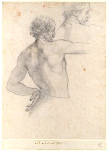 Two Studies of a Man MET DP123331