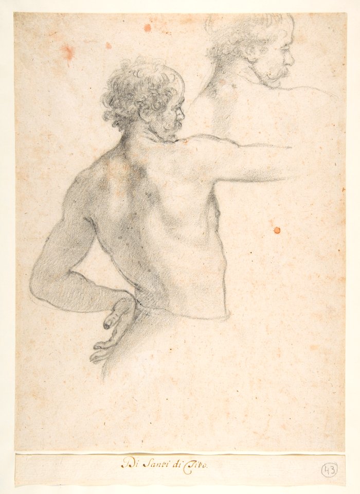 Two Studies of a Man MET DP812324