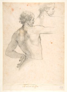 Two Studies of a Man MET DP812324
