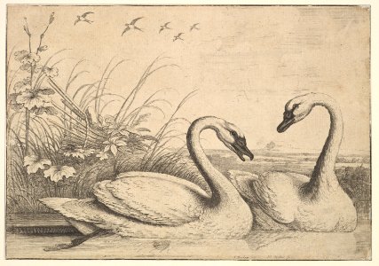 Two Swans MET DP823910