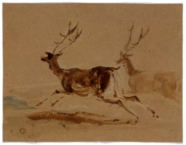 Two Stags Running MET DT4911