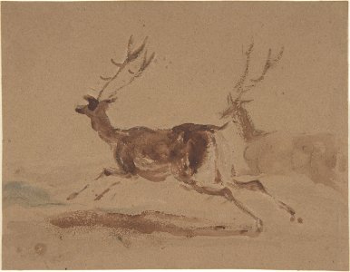 Two Stags Running MET DP804688