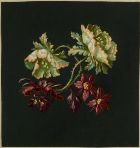 Two Roses and Two Small Flowers MET 28.55.3