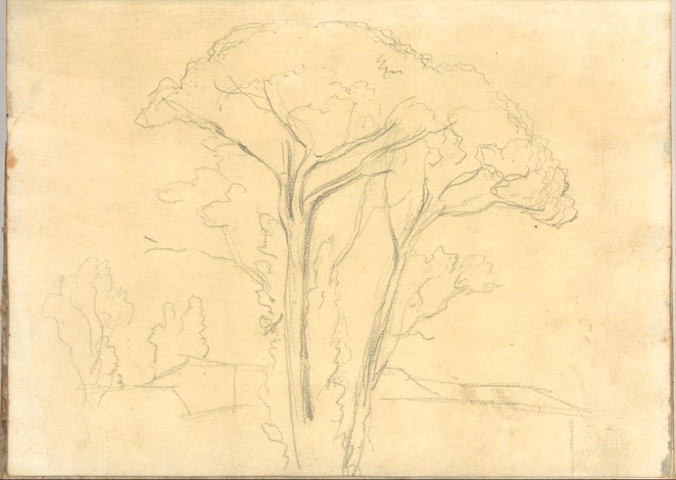 Umbrella Pines and Buildings (Smaller Italian Sketchbook, leaf 26 recto) MET DP269435
